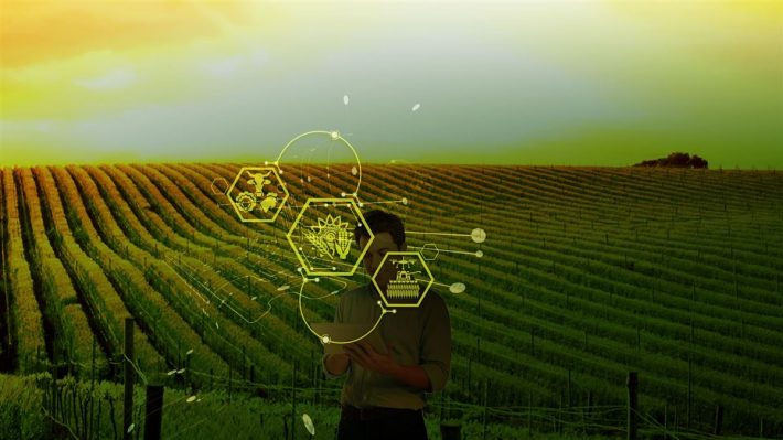 COMO A TECNOLOGIA ABRE ESPAÇO PARA AGROEMPREENDEDORES DO CAMPO E DA CIDADE